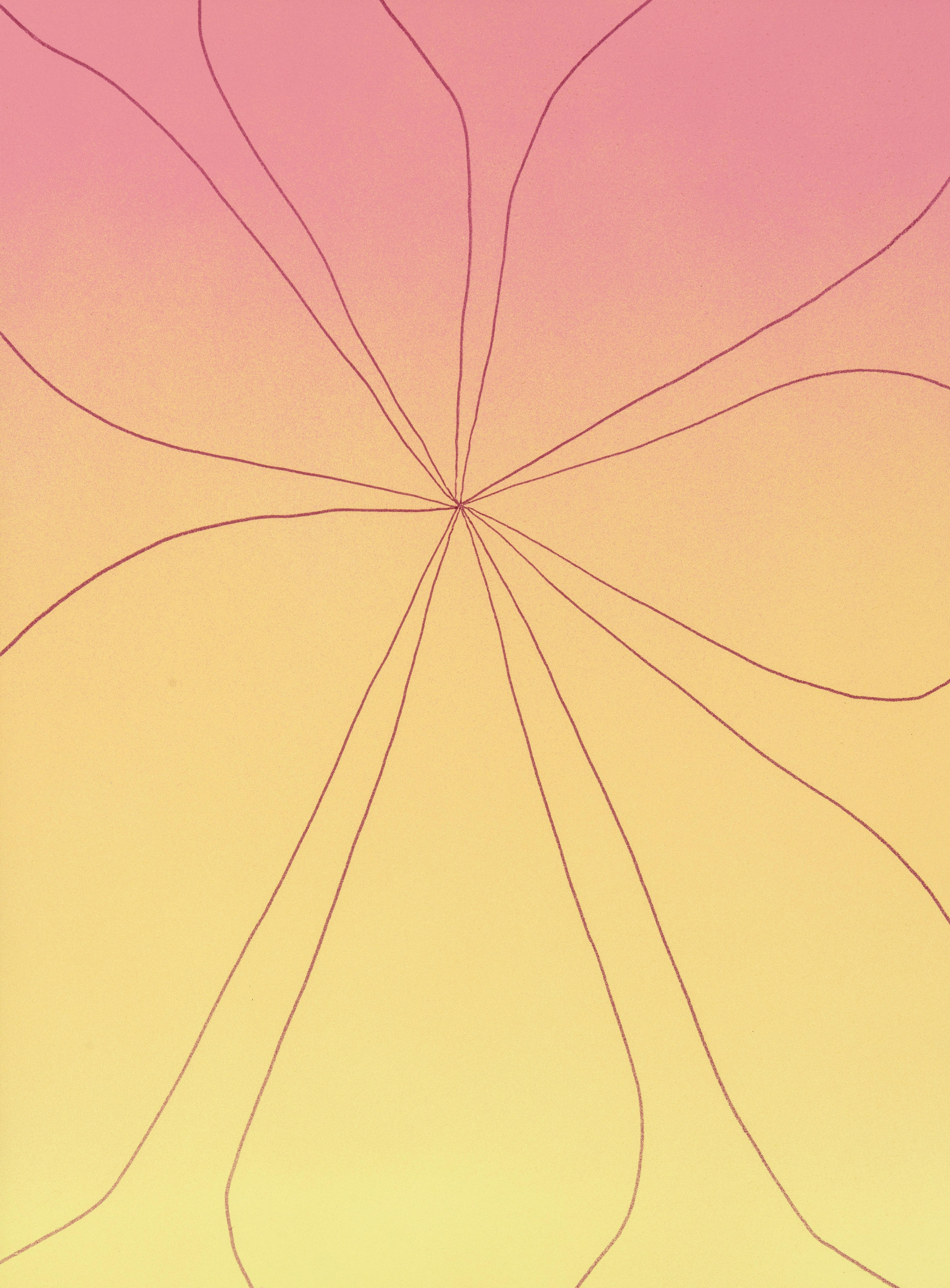 Expansion Portrait in Pink and Yellow, (Floral)